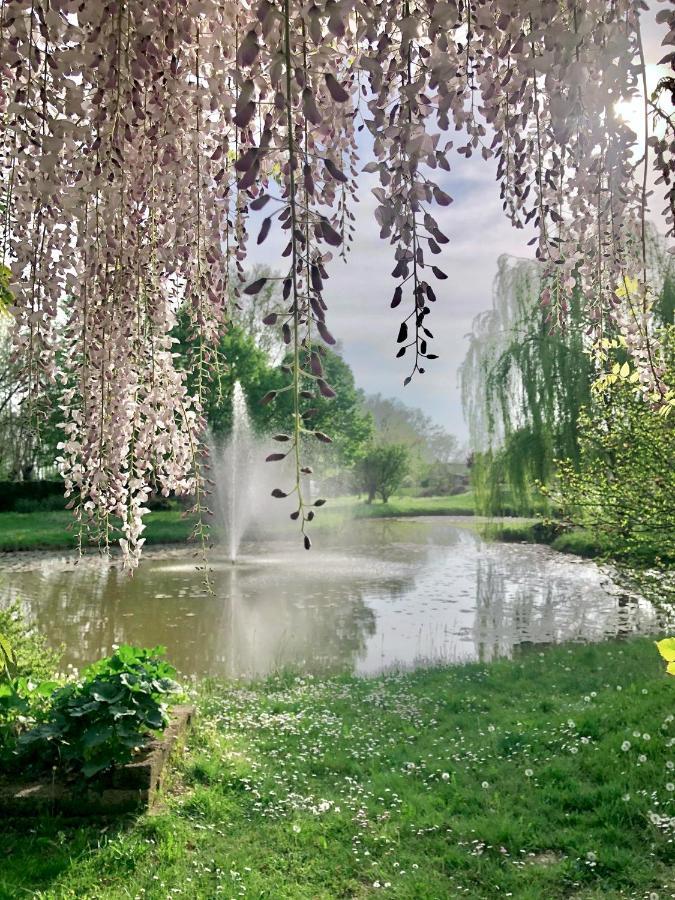 韦基亚住宿加早餐旅馆 Camisano Vicentino 外观 照片