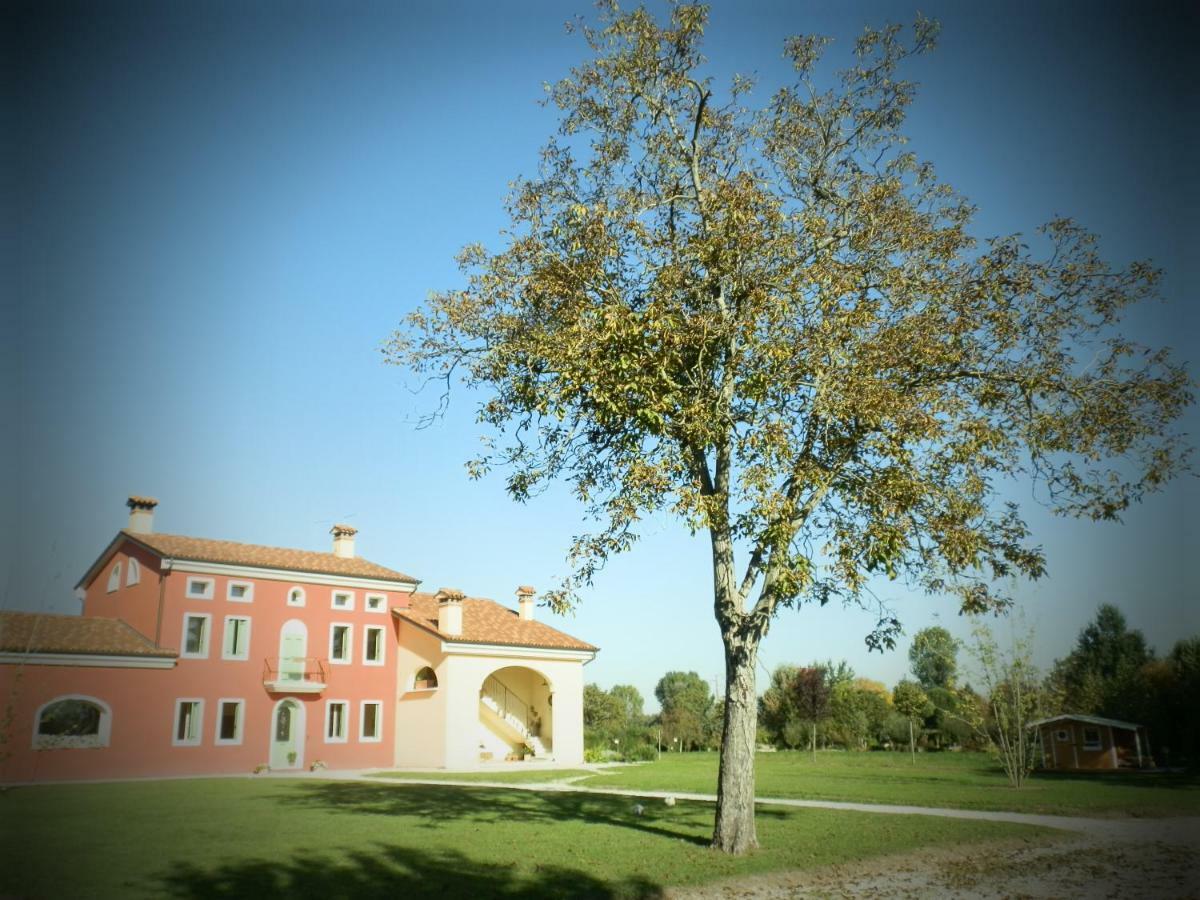 韦基亚住宿加早餐旅馆 Camisano Vicentino 外观 照片