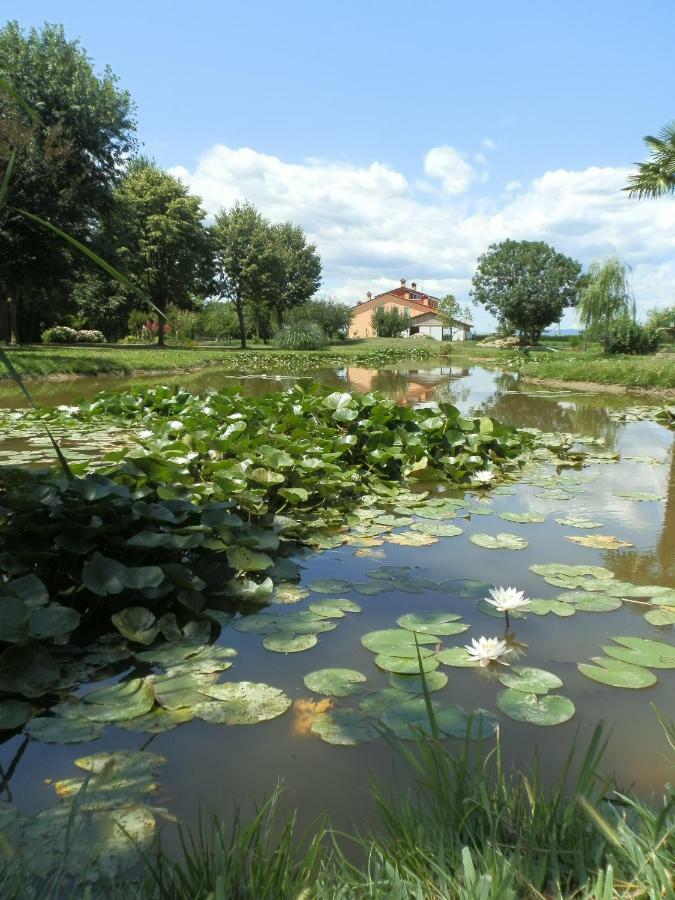 韦基亚住宿加早餐旅馆 Camisano Vicentino 外观 照片